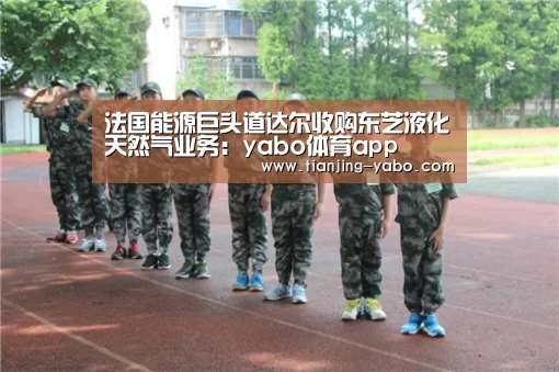 法国能源巨头道达尔收购东芝液化天然气业务:yabo体育app(图1) yabo体育